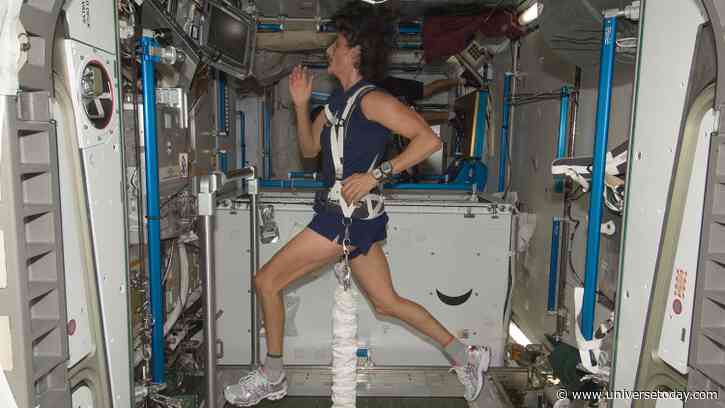 Spaceflight Leaves Heart Muscle Cell Strength Intact