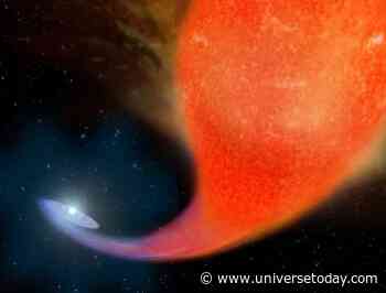 Surface Chemistry Shows Which Massive Stars Have Gained Mass from Binary Companions