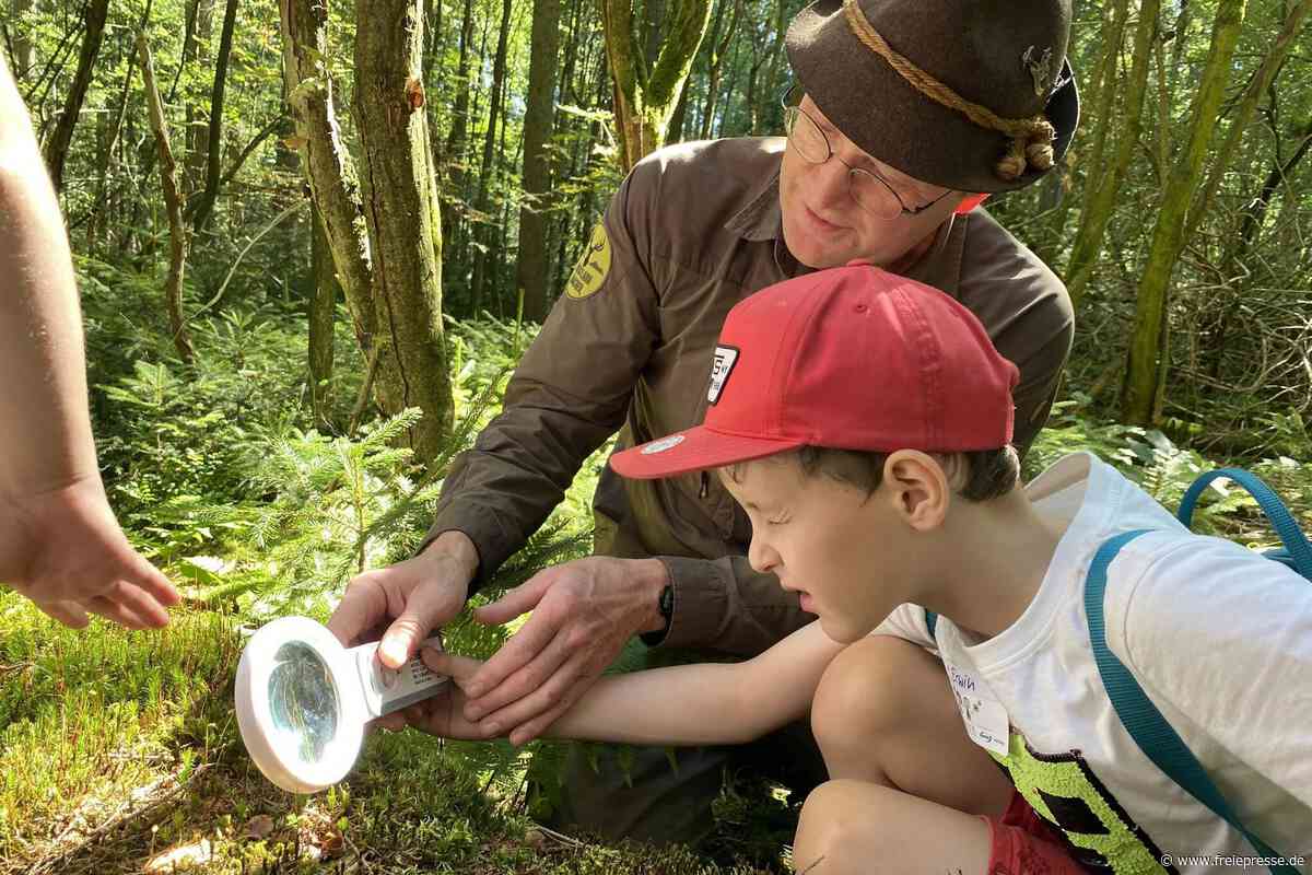 Vogtland: Envia-M und Mitgas starten Projekt „Natur zum Anfassen“