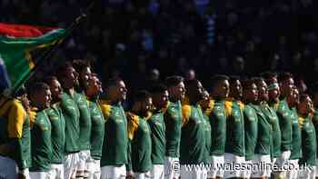 Springboks take legal action hours before New Zealand clash