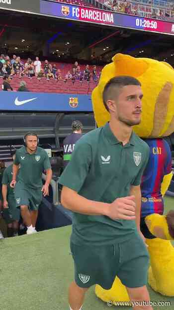 Bona tarda, Cat! Los leones ya están aquí