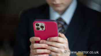 Children's fears of isolation after social media ban spark calls for guidance for parents