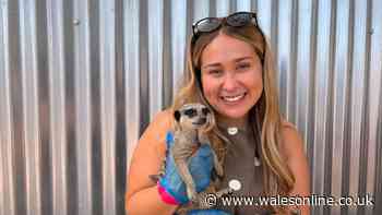 Family-run Caerphilly wildlife park with tickets from £5.50 is a total revelation