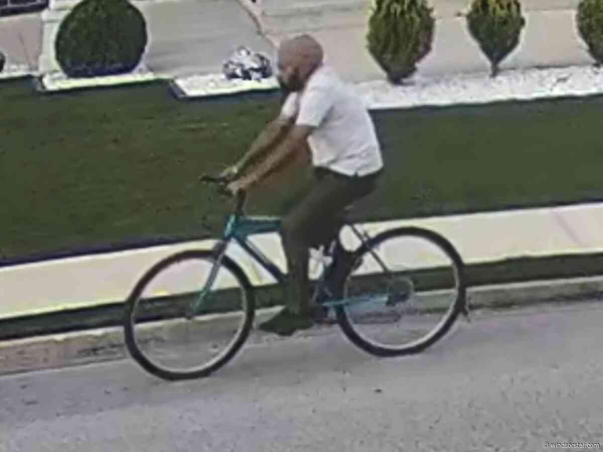 Police seek suspect following sexual assault of 12-year-old boy at Windsor park