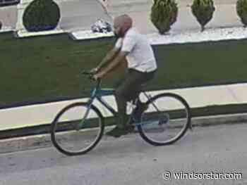 Police seek suspect following sexual assault of 12-year-old boy at Windsor park