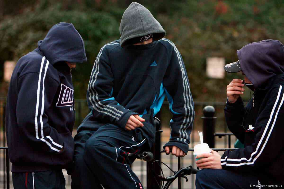 Entire London borough could be covered by anti-social behaviour order