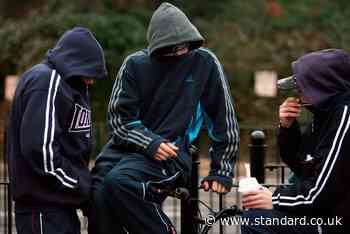 Entire London borough could be covered by anti-social behaviour order