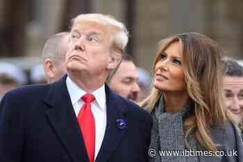 Donald Trump, Melania Trump Marriage Rumours: Author Michael Wolff Claims Couple 'Barely Speak'
