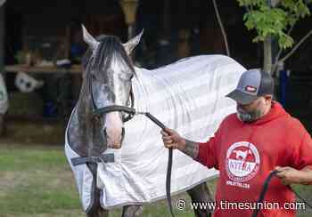 2026 Travers Stakes LIVE updates: Golden Tempo, Renegade to face off again at Saratoga Race Course