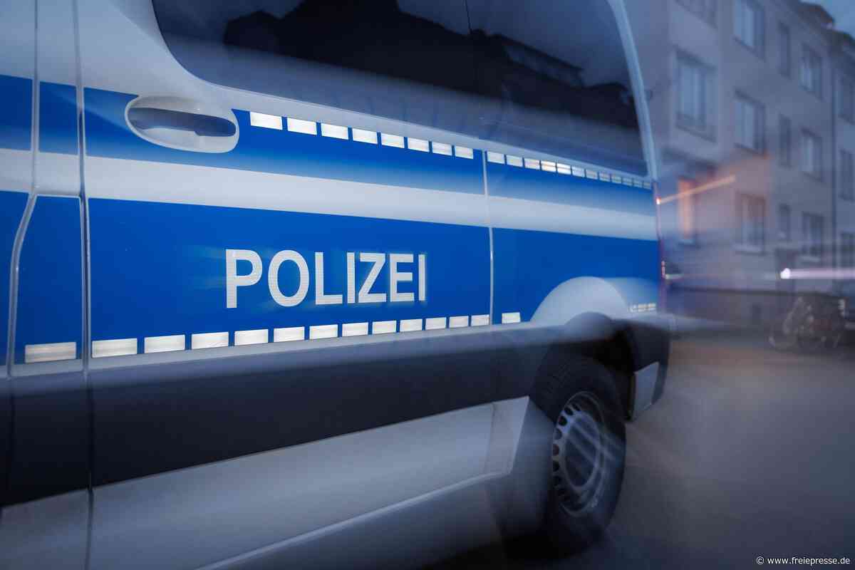 Simson aus Garage im Vogtland gestohlen