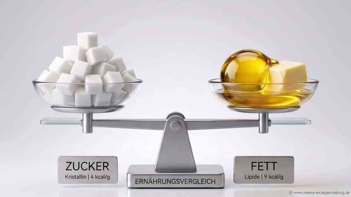 Ewige Debatte über Fett und Zucker: Was macht uns wirklich dick?