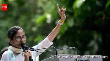 Cops lodge suo motu FIR against Didi over HC order violation