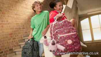 'Best backpack ever made' has seen shoppers from 'school through to work'