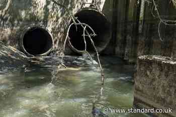 600 million litres of sewage entering river flowing through London each year, shock study finds