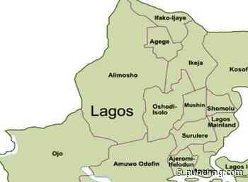 Machete-wielding man attacks security guards at Lagos cinema, kills two