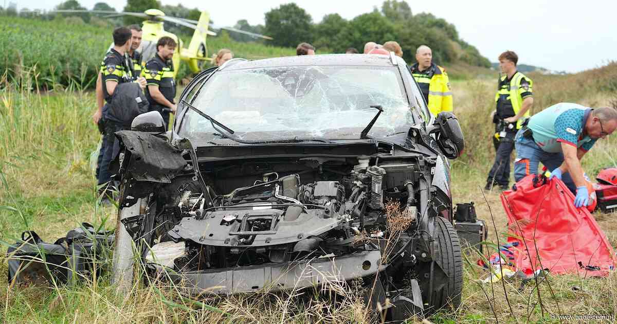 Vrouw zwaargewond bij ongeluk op A59 bij Terheijden, hondjes meegenomen door de dierenambulance