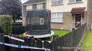 Injured child found alongside body of man in Northern Ireland - one arrested on suspicion of murder