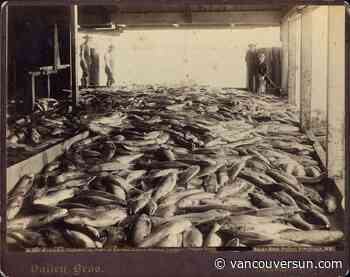 This Day in History, 1889: A floating cannery producing fish oil becomes a swimming bath