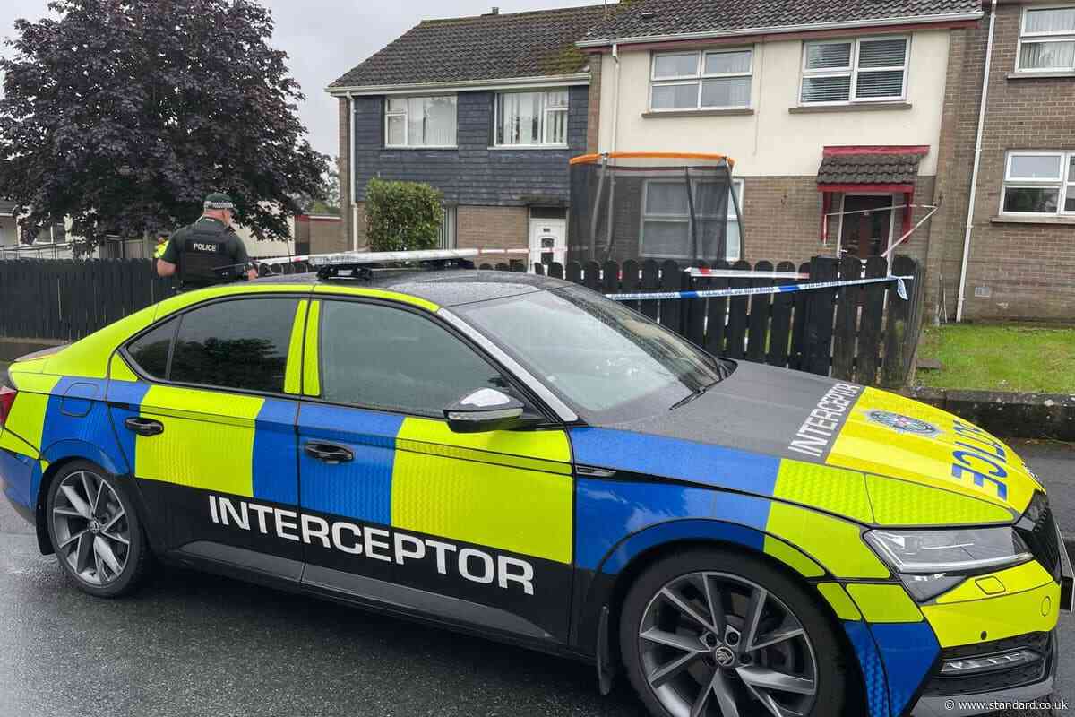 Male arrested after man found dead next to seriously injured girl in Co Tyrone