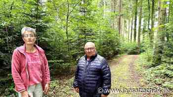 Obdachloser (35) im Wald versetzt Dorf in Oberbayern in Panik: Verlegung in Asylunterkunft