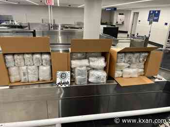 Large quantities of khat are being intercepted at US airports. What is it?