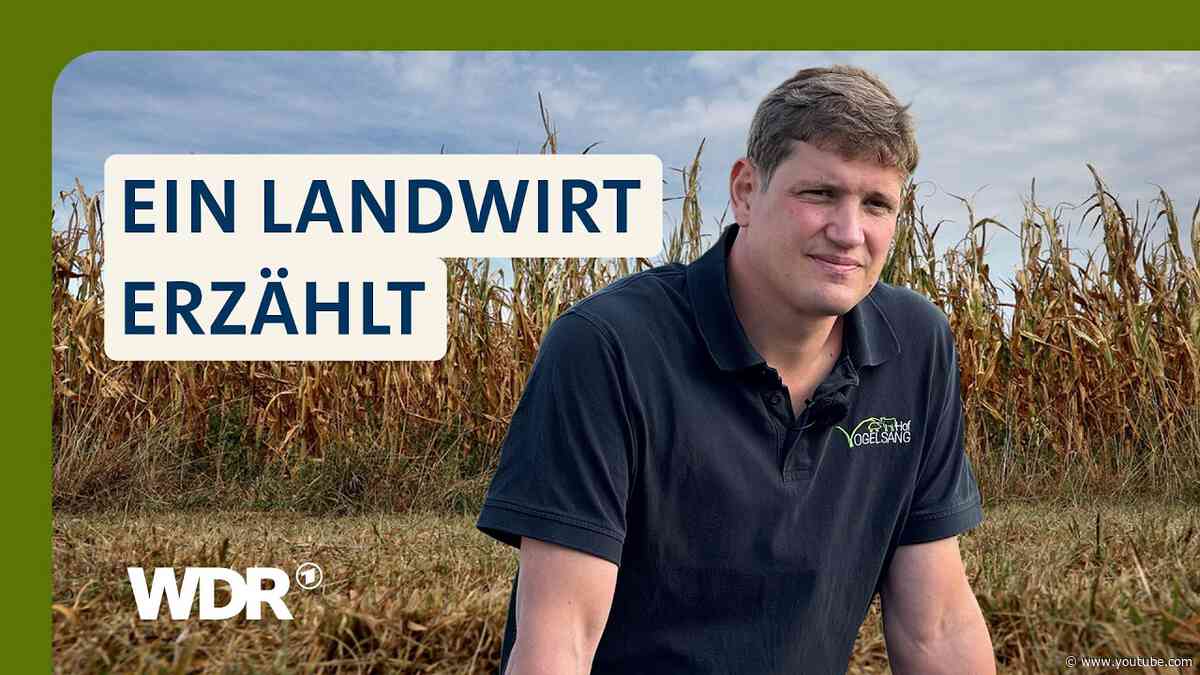 Dürre in der Landwirtschaft: Was der Hitzesommer wirklich angerichtet hat | LandSchafft | WDR