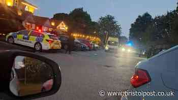 Toby Carvery chaos as taser deployed and two arrested for child neglect