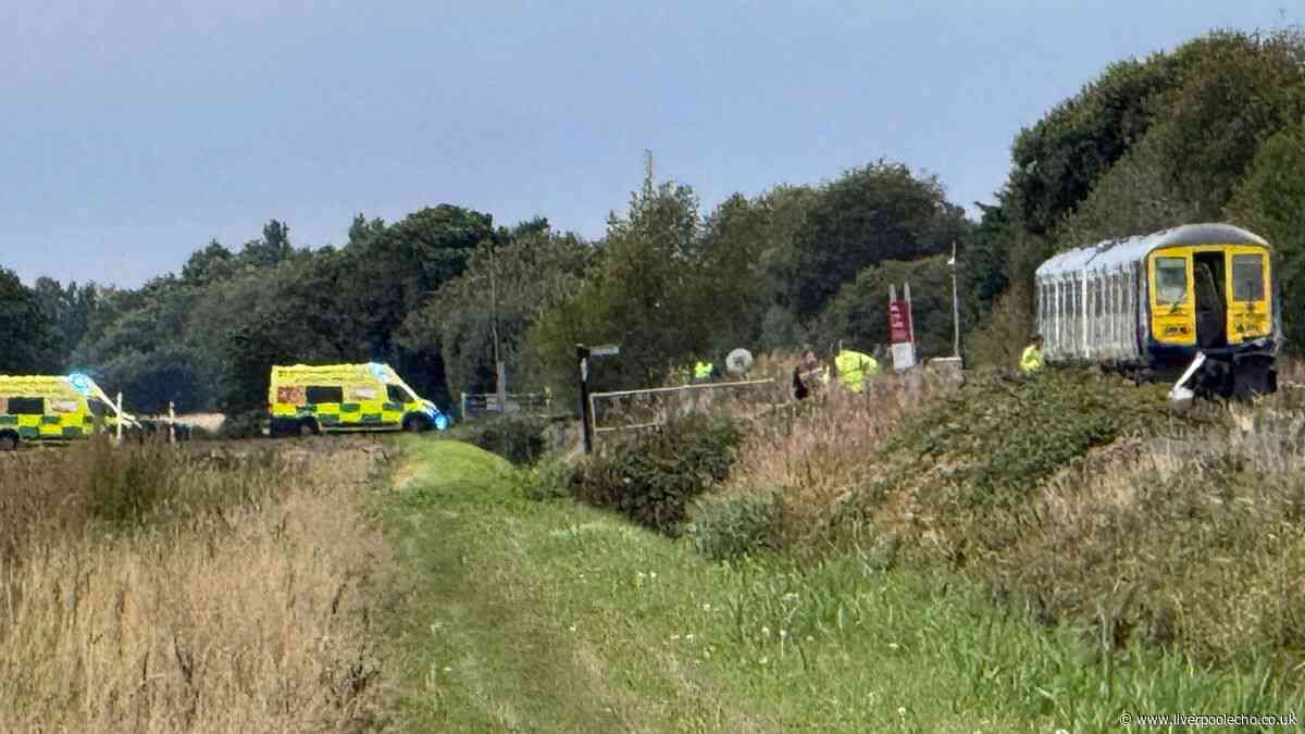 Major incident after 'train hits vehicle' - updates