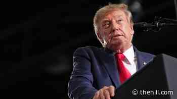 The Memo: GOP sees risks in Trump’s midterm strategy of focusing on himself