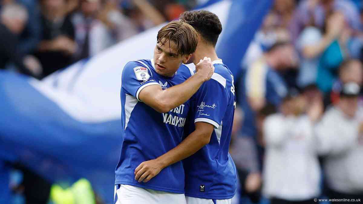 Cardiff City ratings as new signing adds steel but attacker steals show
