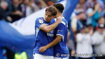 Cardiff City ratings as new signing adds steel but attacker steals show