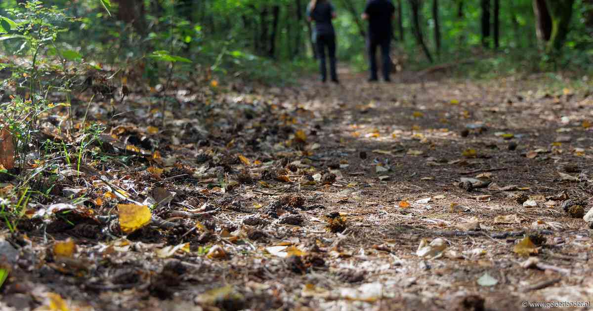 Het lijkt al wel herfst: bomen verkleuren en laten blad en vruchten vallen door extreme droogte