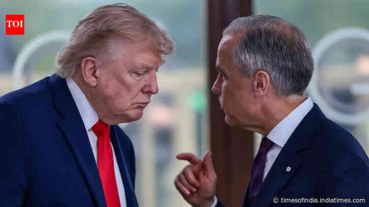 Trump vs Carney: Cars, homes, booze and more caught in US-Canada tariff war