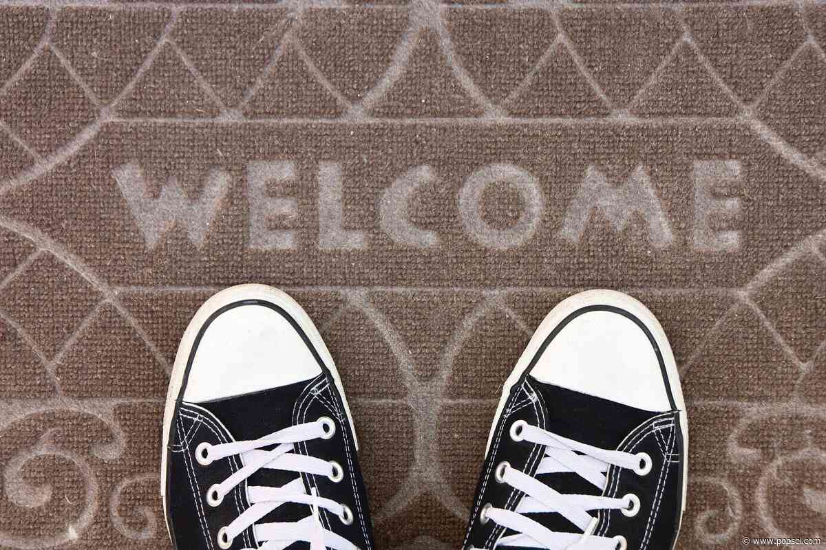 How gross is wearing your shoes inside?