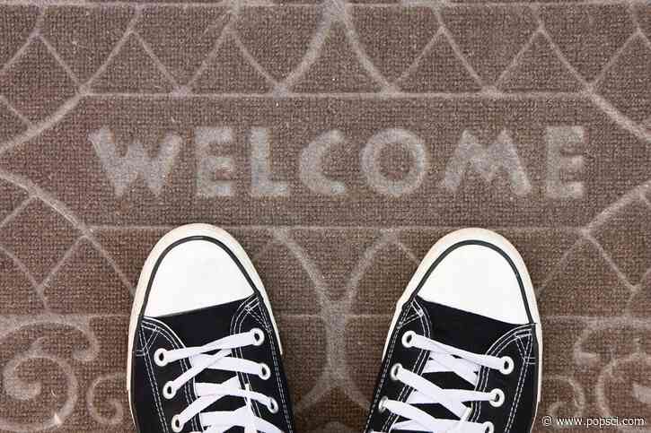How gross is wearing your shoes inside?