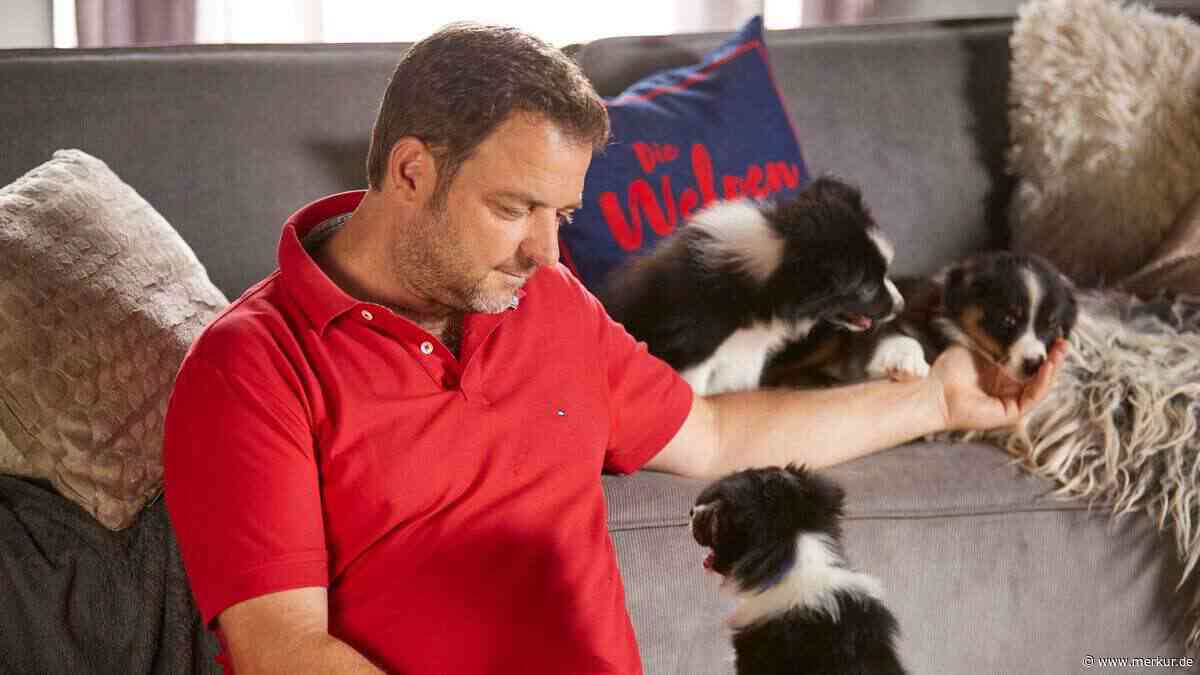Martin Rütter widerspricht bei „Partylöwe“ Carlo seinem Hundetrainer: „Das wird ewig dauern“
