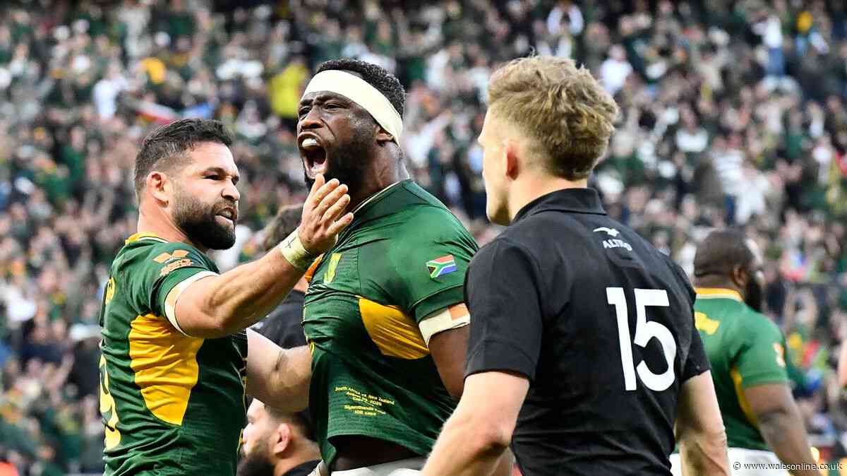 Springboks hold off All Blacks as world's new best rugby team confirmed