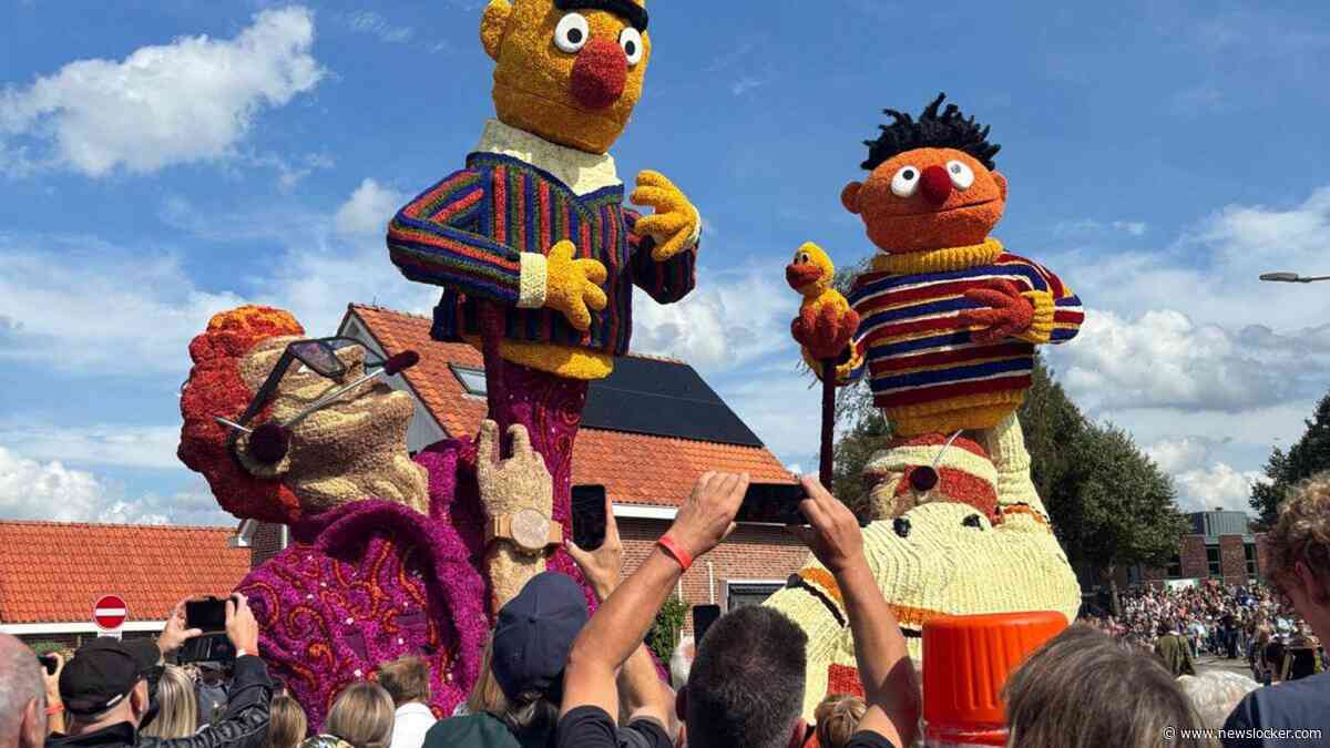 Stevige zuidwester, maar bloemencorso Vollenhove is wel wat gewend: ’Dranghekken vlogen in het rond’