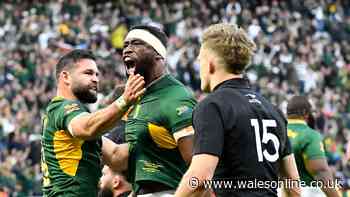 Springboks hold off All Blacks as world's new best rugby team confirmed