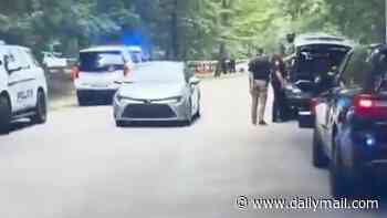 Two cops shot at South Carolina park as gunman killed in deadly shootout