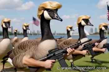 Trump posts AI video of ‘Lake America’ being protected by an army of bequiffed ‘Donald Ducks’