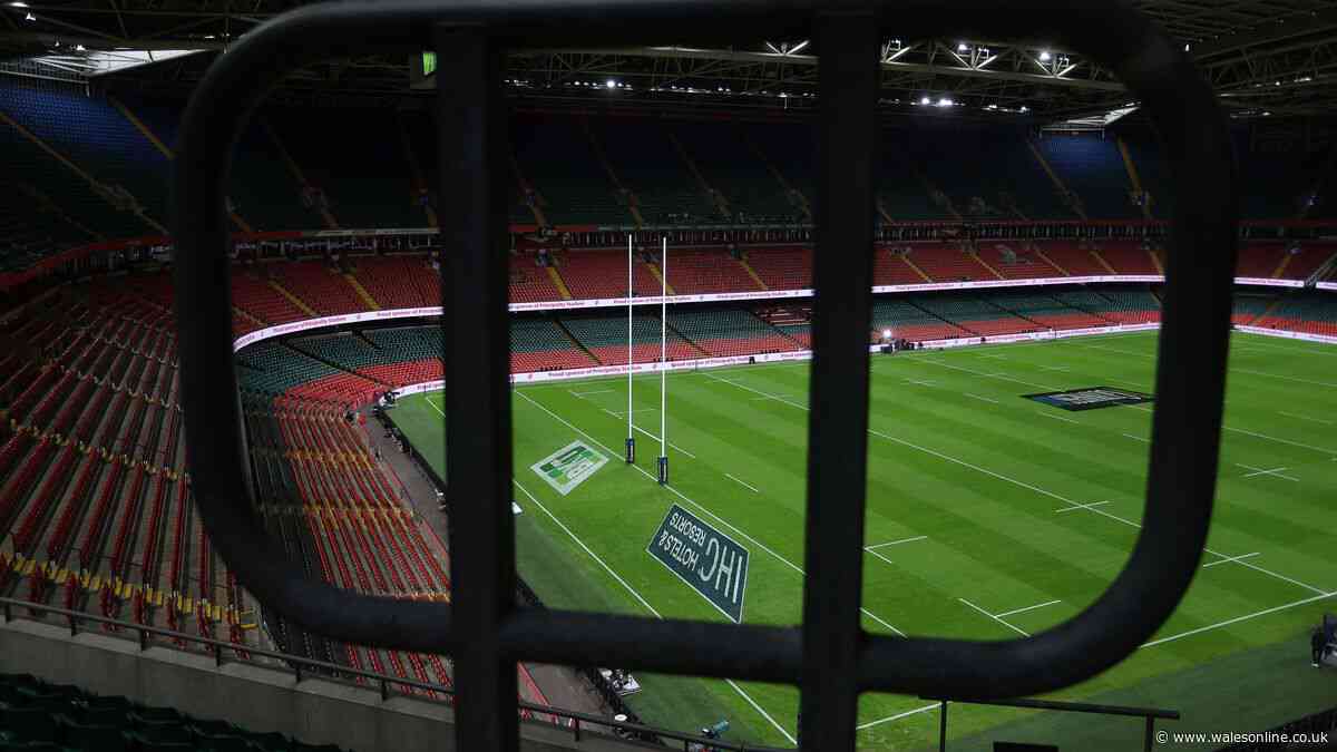 Cracks appear on all sides of Welsh rugby's insufferable civil war