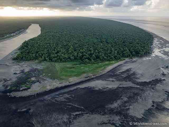 El descubrimiento de petróleo cerca de la Amazonía brasileña desata un nuevo debate energético