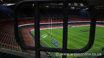 Cracks appear on all sides of Welsh rugby's insufferable civil war