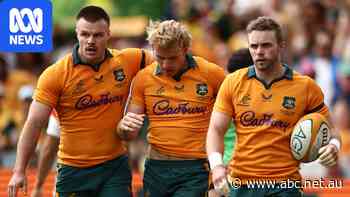 Live: Wallabies face Los Pumas in first Test