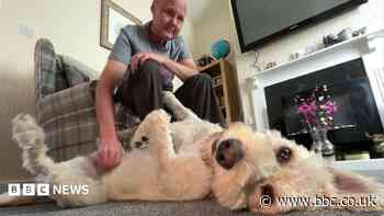 'My confidence has grown due to guide dog Isha'