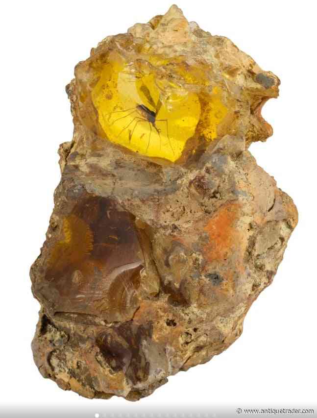 A $403,200 Bite of Jurassic Park History