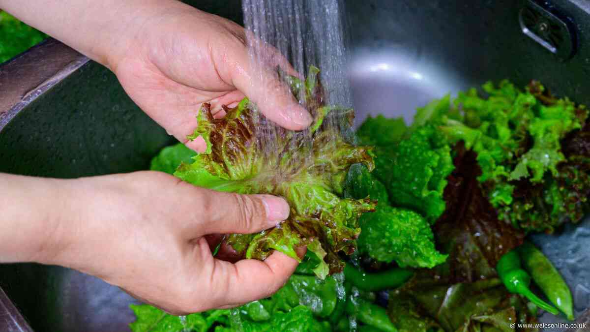 Lettuce stays fresh 'for weeks' by making 1 storage change