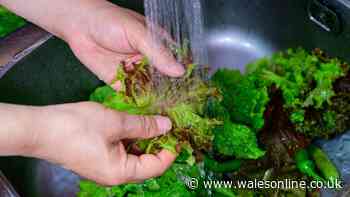 Lettuce stays fresh 'for weeks' by making 1 storage change