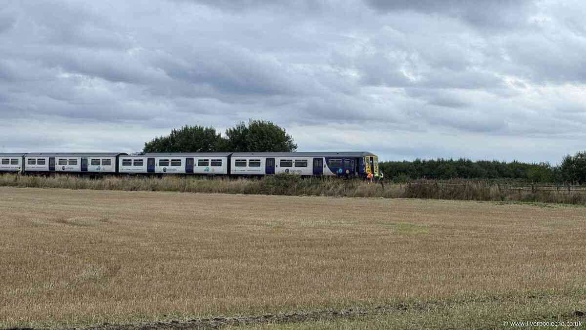 Man dead and passengers treated for injuries as train smashes into van